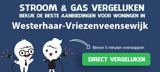 stroom-gas-afsluiten-westerhaar-vriezenveensewijk